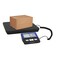 Brecknell DCSB3636-02, 2,500 x 0.5lb / 1,250 x 0.2 kg , Steel deck 36in. x36in., SBI-240 Indicator 810036380041 - alternate 2